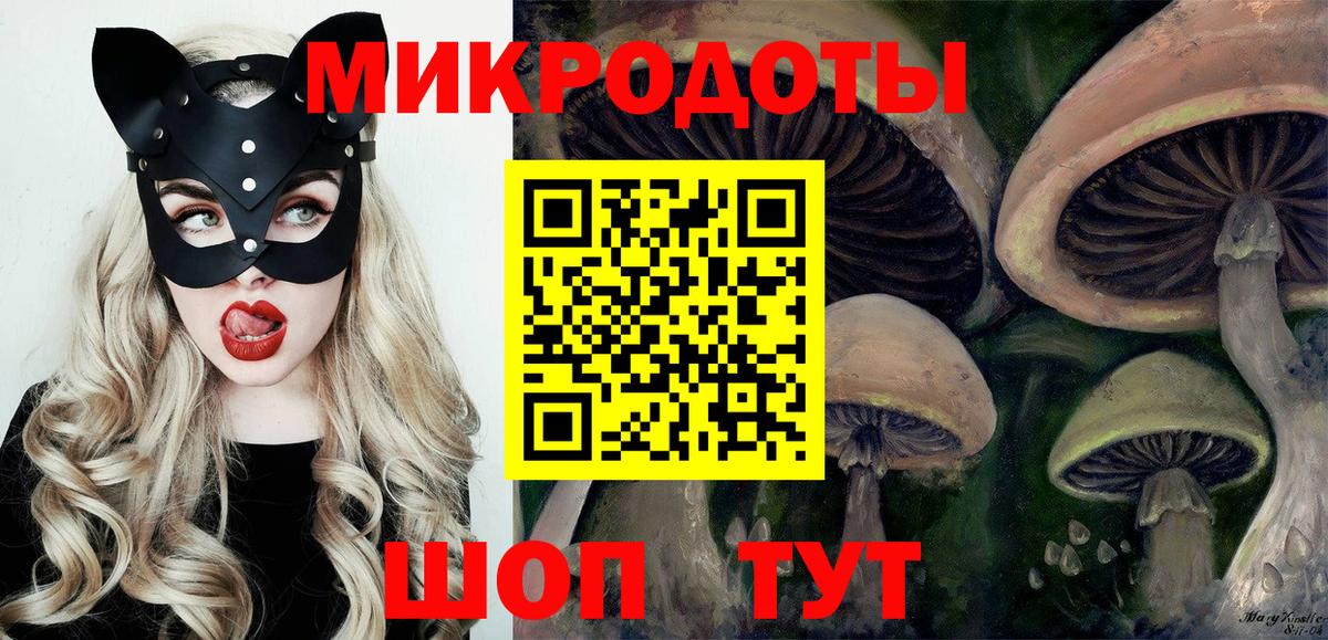 Магадан  Псилоцибиновые грибы прущие грибы  Вход с VPN  Галлюциногенные грибы Psilocybe 