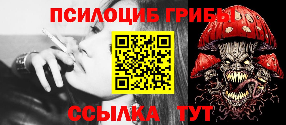 Псилоцибиновые грибы Psilocybine cubensis Магадан